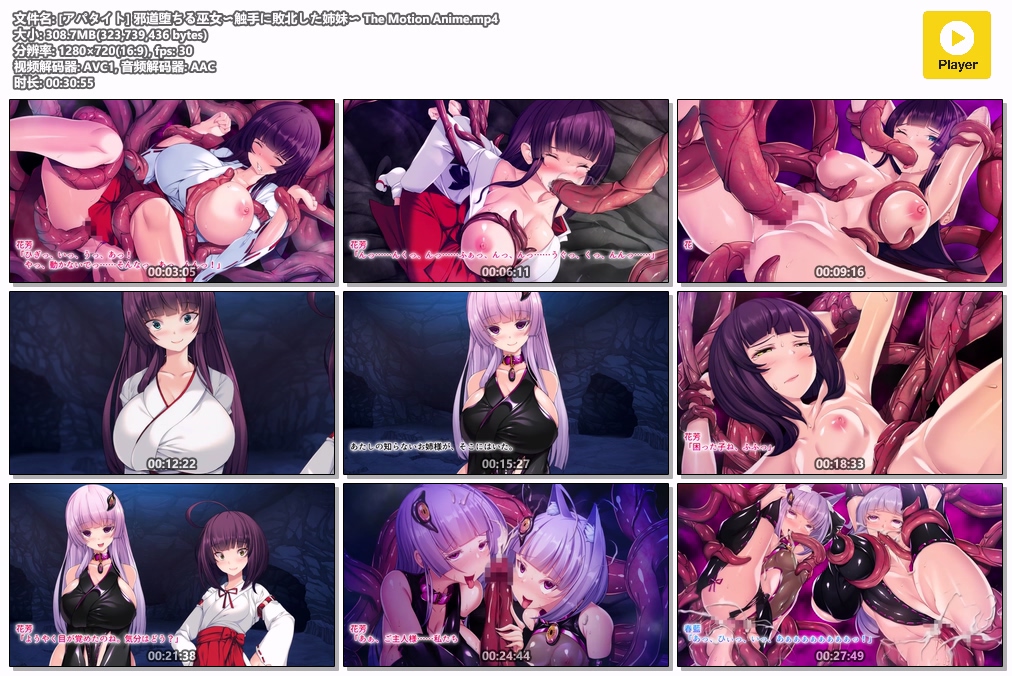 [アパタイト] 邪道堕ちる巫女〜触手に敗北した姉妹〜 The Motion Anime.mp4.jpg